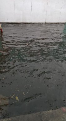 Наслідки негоди: вулиці Мукачева перетворилися на ріки – 04