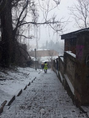 Працює 6 комплексних дорожніх машин: як Ужгород розчищають від снігу – 02