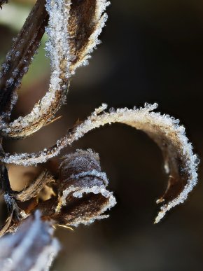 Картинки на телефон: обирайте нову заставку з зимовим вайбом – 20