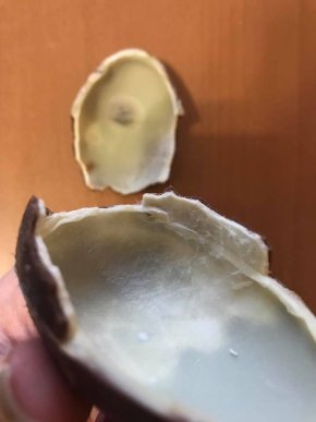 В Ужгороді продають зіпсовані солодощі, – соцмережі – 03