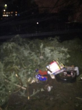 В Ужгороді на одному з ринків сотні ялинок кинули просто неба – 04