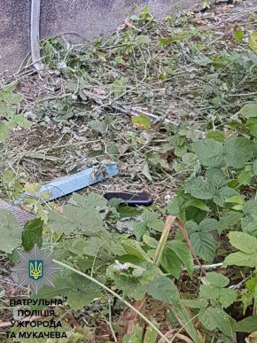 Щоб уникнути покарання, крадійка викинула телефон через вікно – 02