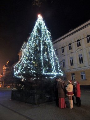 Ковзанка, тематична музика, шампанське та глінтвейн: як берегівчани зустрічали Новий рік – 07