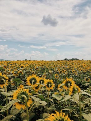 У Мукачеві з’явилася яскрава локація для фото – 05