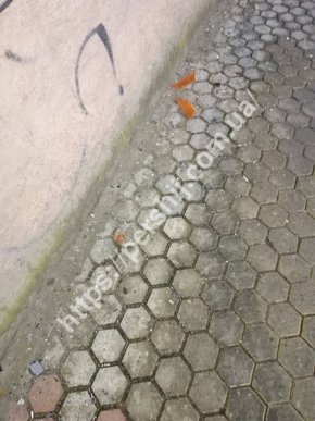 Що сталося у центральній частині Мукачева – 04