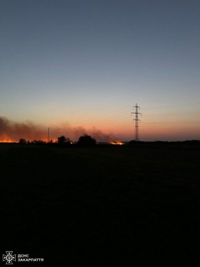 На Закарпатті масово підпалюють сухостій. Рятувальники б’ють на сполох – 03