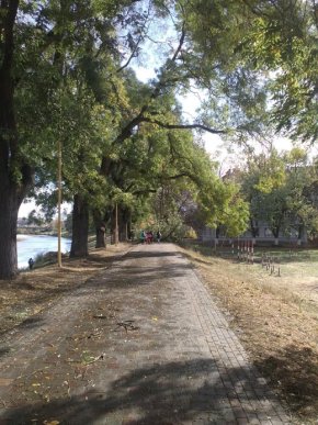 Негода в Ужгороді наробила біди – 02