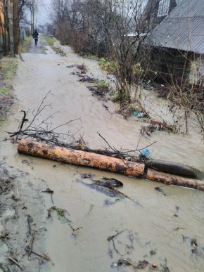 На Рахівщині гірський струмок затопив ціле село – 06