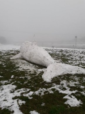 Сніжно-білий Мобі Дік: у Мукачеві невідомі зліпили величезну снігову скульптуру  – 02