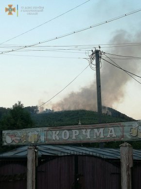 Велика пожежа на Закарпатті: рятувальники та місцеве населення всю ніч гасили вогонь – 04