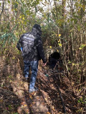 На Закарпатті поліція затримала групу зловмисників – 04