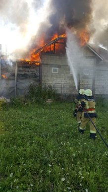 Масштабну пожежу поблизу Ужгорода гасили 25 пожежників – 02