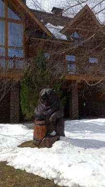 Обшуки маєтку родини Віктора Медведчука на Закарпатті: опубліковано ексклюзивні кадри – 34