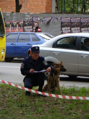 В Ужгороді намагалися спалити джип одному з провідних діячів ромської громади Ужгорода (ФОТО) – 15