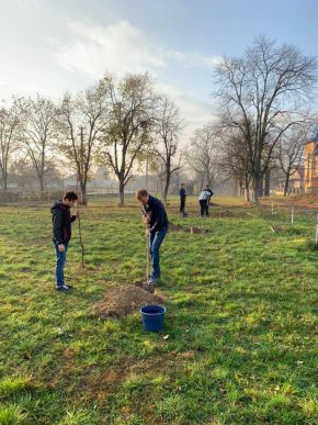 У Хустському районі розпочали акцію "Освітній сад – майбутнє України" – 03