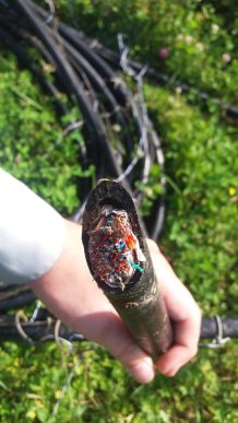 Поліція Великоберезнянщини затримала серійних зловмисників, які підозрюються в десяти крадіжках телефонних кабелів – 04