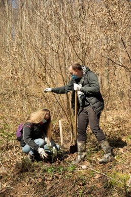 500 дерев задля відновлення лісів Закарпаття, – працівники "Джейбіла" висадили хвойні в урочищі "Дубки" – 05