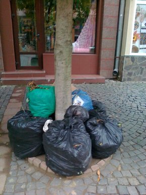 Жінка вирішила викинути велику купу сміття прямо у центрі Мукачева – 02