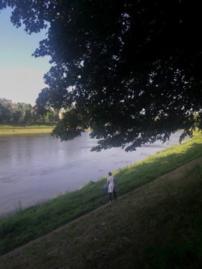 В обласному центрі біля річки Уж труять гризунів – 03