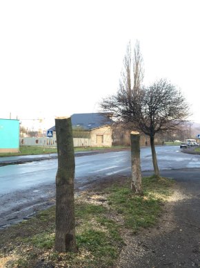 У Мукачеві в мікрорайоні Підгоряни бабуся здійняла переполох своєю витівкою – 08 У Мукачеві в мікрорайоні Підгоряни бабуся здійняла переполох своєю витівкою – 08