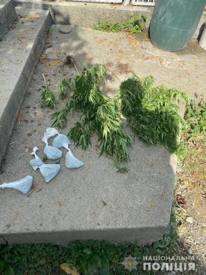 На Тячівщині поліцейські вилучили від жителя району марихуану – 02