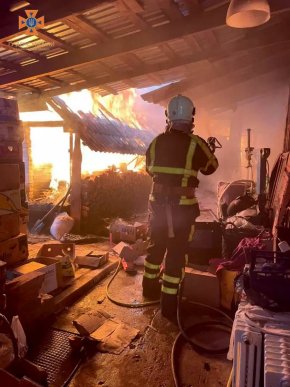 Рятувальники розповіли про велику пожежу в Мукачеві – 05