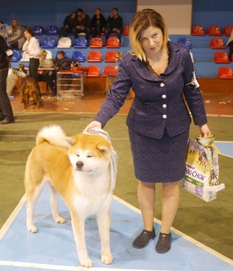 В Ужгороді визначили переможця Міжнародної виставки собак – 04