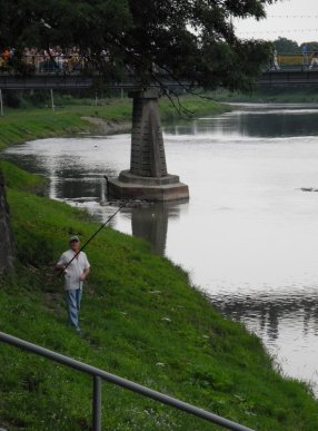 В Ужгороді ловлять рибу не дивлячись на заборону (ФОТО) – 06