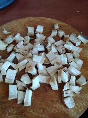 Закарпатець знайшов велетенський гриб – 05