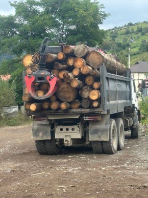 Поліцейські розповіли, що виявили у селі на Рахівщині – 02