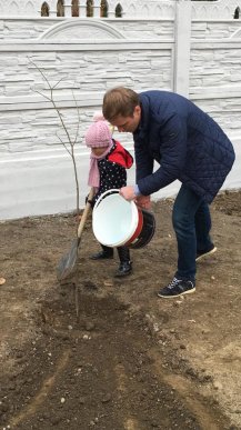 У парку "Дружба" в Хусті, який планують відкрити весною 2016 року, висадили дерева – 05