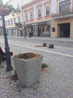 Вранці чоловік наробив шкоди в центрі Ужгорода – 01