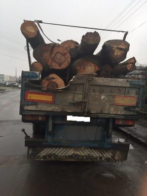 Патрульні поліцейські затримали вантажівку із нелегальним "лісом" – 04