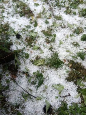 На Ужгородщині випав град, – соцмережі – 01