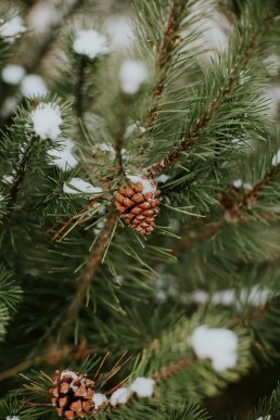 Картинки на телефон: обирайте нову заставку з зимовим вайбом – 25