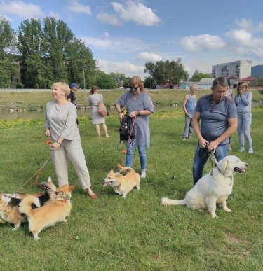 У Мукачеві відбувся "Парад собак" – 07