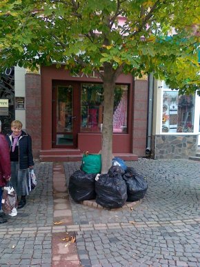 Жінка вирішила викинути велику купу сміття прямо у центрі Мукачева – 01