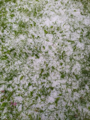 Негода на Закарпатті: село засипало градом – 03