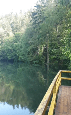 Озеро Синевир вийшло з берегів – 02