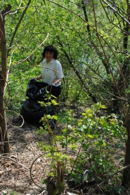 Мукачево почали робити чистим (ФОТОРЕПОРТАЖ) – 16