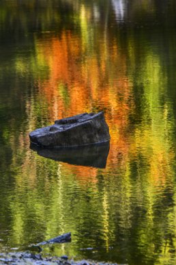 В Ужгороді відкрили фотовиставку, присвячену життю та побуту в Карпатах (ФОТО) – 05