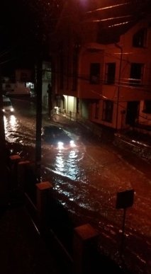 Дерева виривало з корінням: закарпатське місто накрила страшна негода – 05 Дерева виривало з корінням: закарпатське місто накрила страшна негода – 05