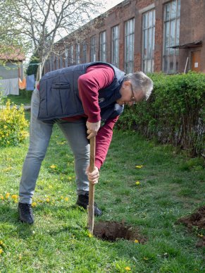 Фондом "Регіон Карпат NEEKA" висаджено понад 250 дерев – 06 Фондом "Регіон Карпат NEEKA" висаджено понад 250 дерев – 06