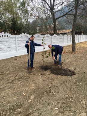 У парку "Дружба" в Хусті, який планують відкрити весною 2016 року, висадили дерева – 11