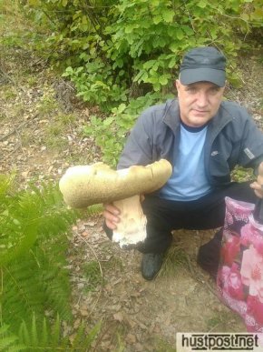 Закарпатець знайшов гриба-велетня – 02