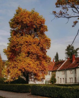 У мережі показали світлини туристичної перлини Закарпаття – 06 У мережі показали світлини туристичної перлини Закарпаття – 06