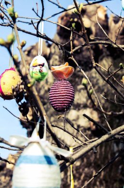 У Мукачеві з’явилося писанкове дерево – 10