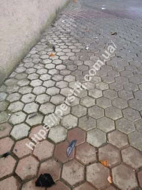 Що сталося у центральній частині Мукачева – 05