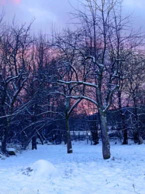 В одному із сіл Закарпаття зафіксували неймовірне природне явище – 03