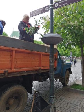 У центрі Мукачева висаджують квіти – 02